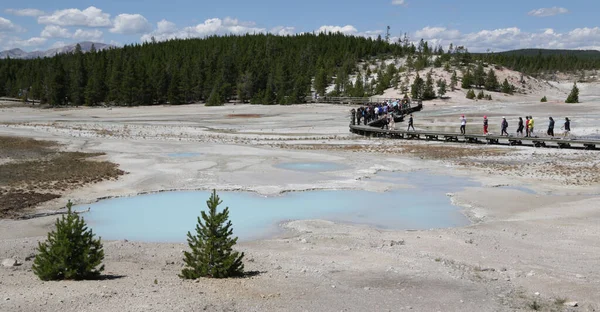 Dentro Del Parque Nacional Yellowstone Brauty Naturaleza Increíble Destino Turístico — Foto de Stock