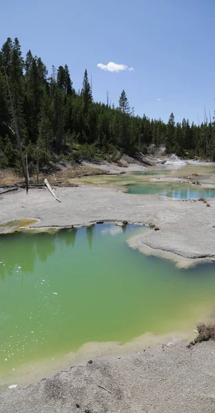 Dentro Del Parque Nacional Yellowstone Brauty Naturaleza Increíble Destino Turístico — Foto de Stock