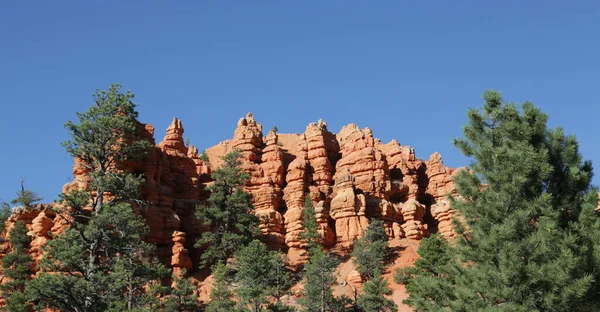 in USA  bryce   national  park the beauty of amazing nature tourist destinatio