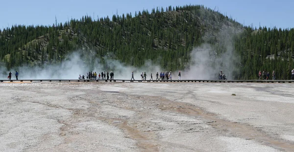 Dentro Del Parque Nacional Yellowstone Brauty Naturaleza Increíble Destino Turístico — Foto de Stock