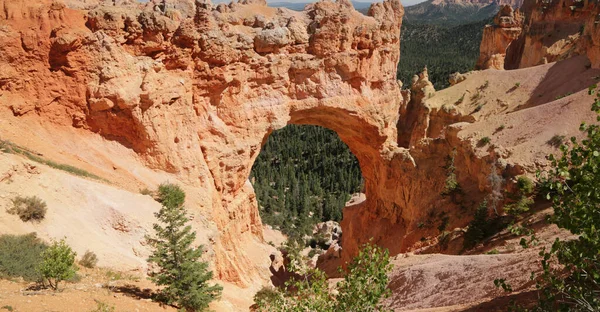 Usa Bryce Nationalpark Die Schönheit Der Erstaunlichen Natur Touristischen Destinatio — Stockfoto