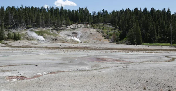 Dentro Del Parque Nacional Yellowstone Brauty Naturaleza Increíble Destino Turístico — Foto de Stock