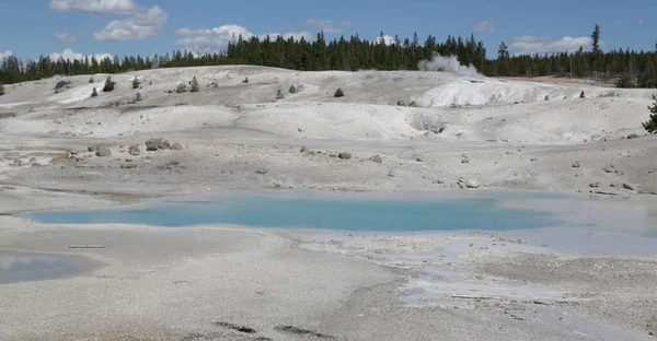 Dentro Del Parque Nacional Yellowstone Brauty Naturaleza Increíble Destino Turístico — Foto de Stock