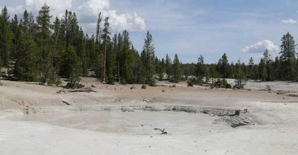 Dentro Del Parque Nacional Yellowstone Brauty Naturaleza Increíble Destino Turístico — Foto de Stock