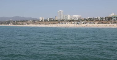   Usa Los Angeles 'ta Santa Monica plajında ve turtada