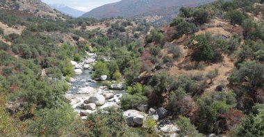   Abd'de sekoya milli parkı içinde şaşırtıcı doğa turist destinatio güzelliği