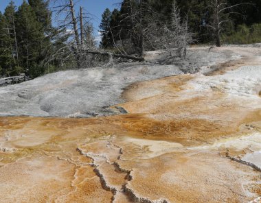 Yellowstone milli parkı içinde Abd'de inanılmaz doğa turist destinatio brauty