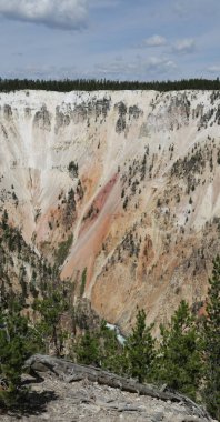  yellowstone milli parkı doğa  
