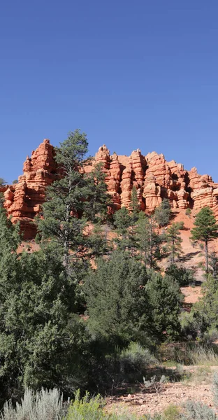 Bryce Nationalpark die Schönheit der Natur — Stockfoto