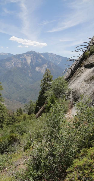 Az USA-ban belül Sequoia Nemzeti Park — Stock Fotó