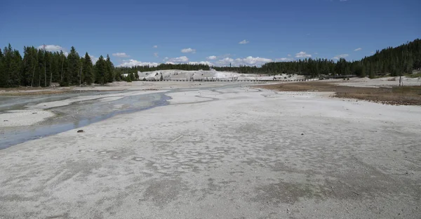 Dentro Del Parque Nacional Yellowstone Brauty Naturaleza Increíble Destino Turístico — Foto de Stock