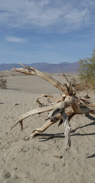 Morte vale parque a beleza da natureza — Fotografia de Stock