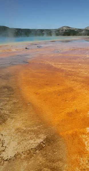 Nos Eua Dentro Parque Nacional Yellowstone Brauty Destino Turístico Surpreendente — Fotografia de Stock