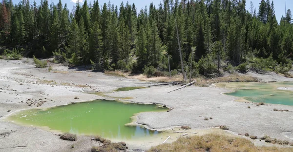 Usa Ban Belül Yellowstone Nemzeti Park Brauty Csodálatos Természet Idegenforgalmi — Stock Fotó