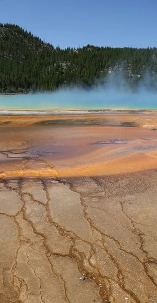 Aux Etats Unis Intérieur Parc National Yellowstone Bravoure Nature Étonnante — Photo