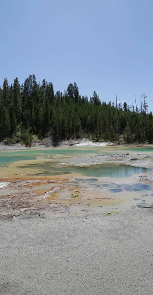 Dentro Del Parque Nacional Yellowstone Brauty Naturaleza Increíble Destino Turístico — Foto de Stock