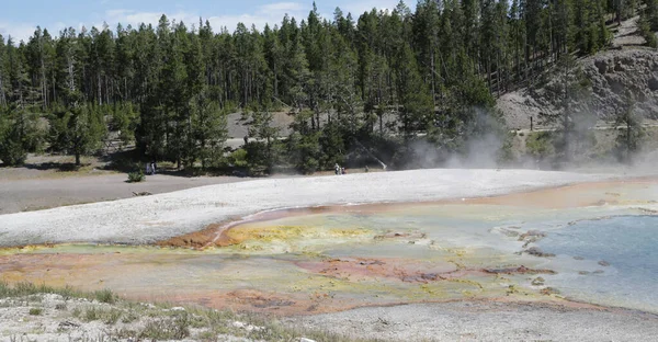 Dentro Del Parque Nacional Yellowstone Brauty Naturaleza Increíble Destino Turístico — Foto de Stock