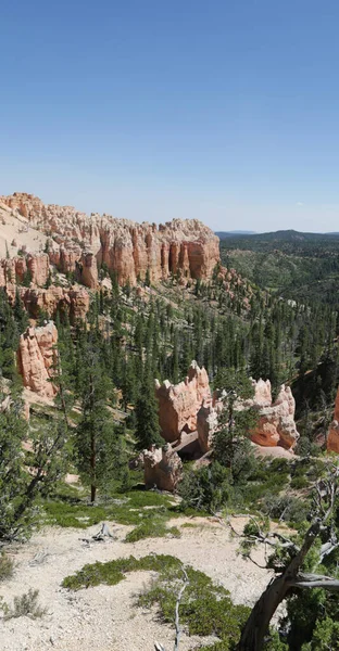 Usa Bryce Nationalpark Die Schönheit Der Erstaunlichen Natur Touristischen Destinatio — Stockfoto