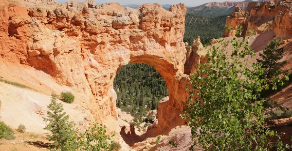 Usa Bryce Nationalpark Die Schönheit Der Erstaunlichen Natur Touristischen Destinatio — Stockfoto