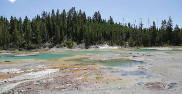 Dentro Del Parque Nacional Yellowstone Brauty Naturaleza Increíble Destino Turístico — Foto de Stock