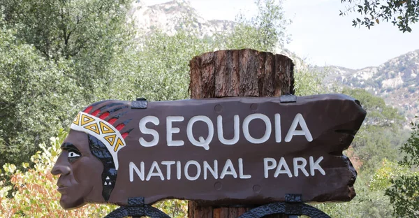 Usa Wewnątrz Parku Narodowego Sequoia Piękno Niesamowitej Przyrody Turystycznym Wybrania — Zdjęcie stockowe