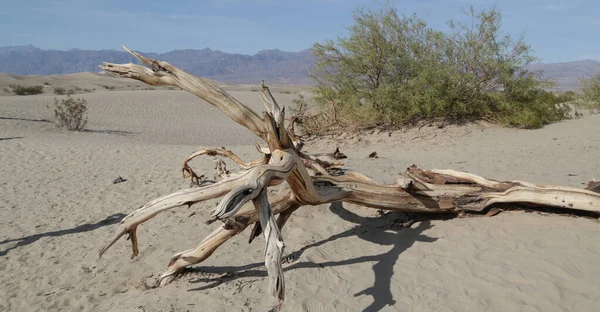 Nos Eua Morte Vale Parque Beleza Natureza Incrível Destino Turístico — Fotografia de Stock