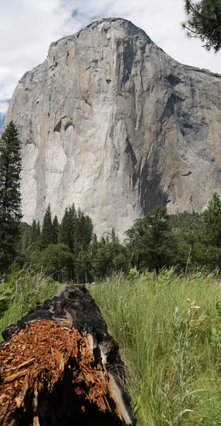 Yosemite nemzeti park csodálatos természet — Stock Fotó