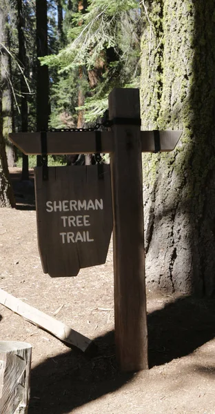 W USA wewnątrz parku Narodowego Sequoia — Zdjęcie stockowe