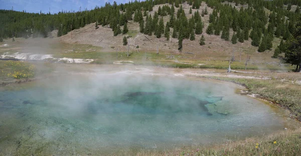 Binnen Het Yellowstone National Park Brauty Van Verbazingwekkende Natuur Toeristische — Stockfoto