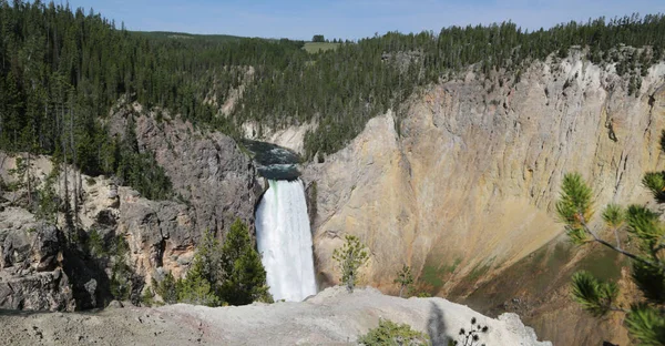 Usa Parku Narodowym Yellowstone Brauty Niesamowitej Przyrody Turystycznych Wybrania — Zdjęcie stockowe