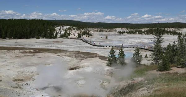 Binnen Het Yellowstone National Park Brauty Van Verbazingwekkende Natuur Toeristische — Stockfoto