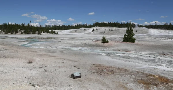 Dentro Del Parque Nacional Yellowstone Brauty Naturaleza Increíble Destino Turístico — Foto de Stock