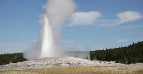 Dentro Del Parque Nacional Yellowstone Brauty Naturaleza Increíble Destino Turístico — Foto de Stock