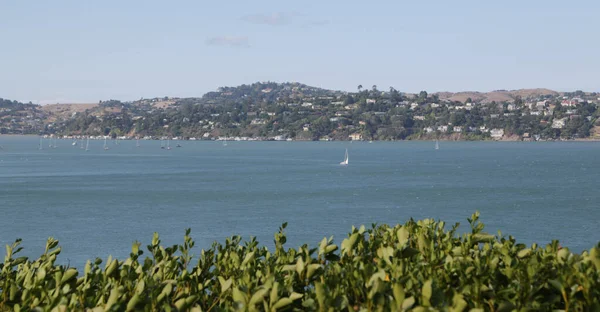 Usa San Francisco Der Blick Auf Die — Stockfoto