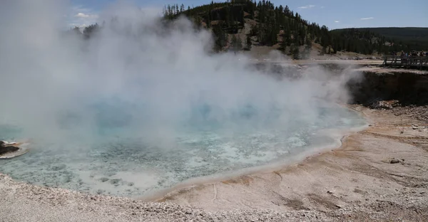 Dentro Del Parque Nacional Yellowstone Brauty Naturaleza Increíble Destino Turístico — Foto de Stock
