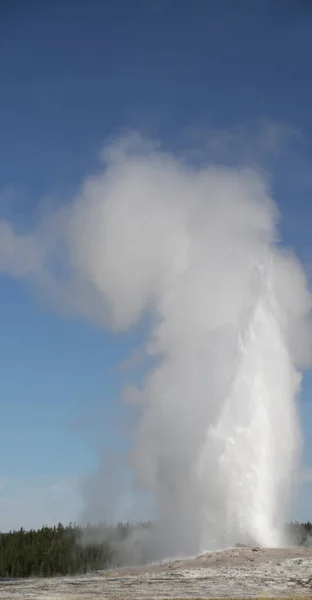 Yellowstone národní park příroda — Stock fotografie