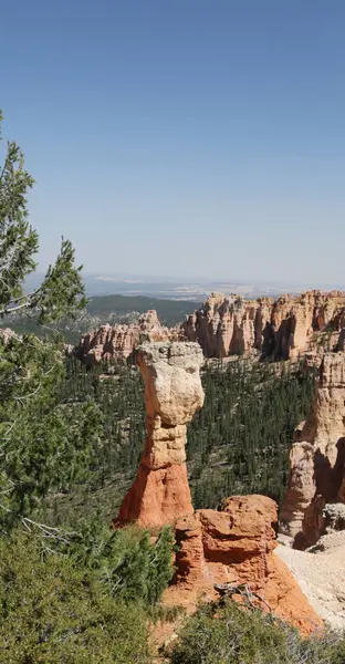 Bryce   national  park the beauty of nature — Stock Photo, Image