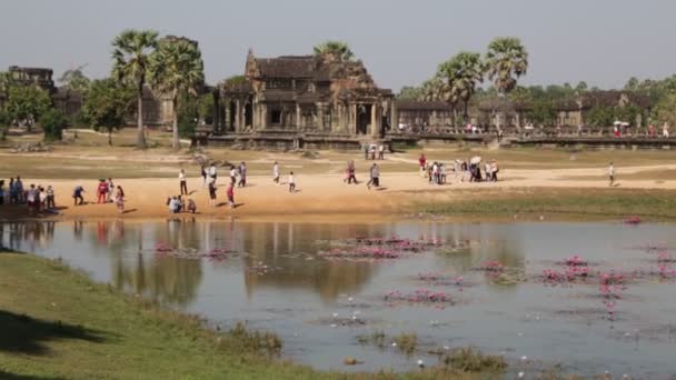 Kambodzsa Angkor Wat 2019 December Körül Festői Felvételek Ősi Templomról — Stock videók