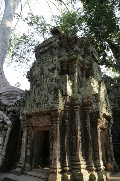 Камбодже Ангкор Ват Старые Здания Историческое Место Защиты Юнеско Удивительные — стоковое фото