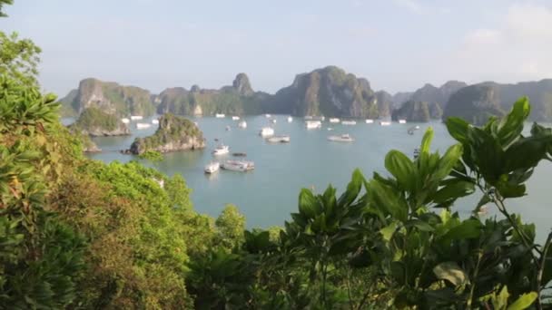 Filmagem Barcos Turísticos Entre Montanhas Verdes Vietnã — Vídeo de Stock