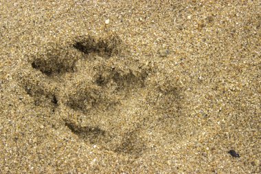 Beyaz arka plan üzerinde işaretlemek