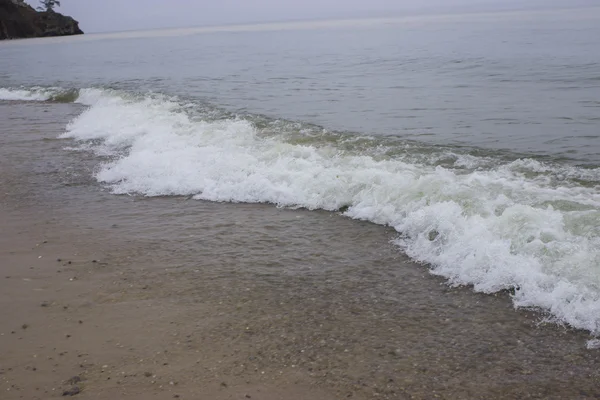 Côte sur le fond blanc — Photo