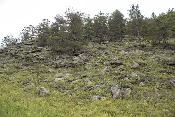 Bergen op de witte achtergrond — Stockfoto