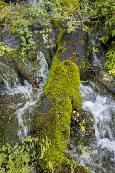 Fiume di montagna sullo sfondo bianco — Foto Stock