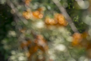 Beyaz arka plan üzerinde parlak noktalar