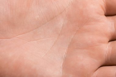 beyaz zemin üzerine el