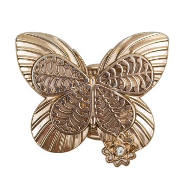 Beyaz arka planda kelebek