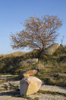 Rezervuarın kayalık kıyısı