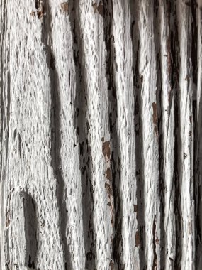 Eski boyanmış ahşap bir tahtanın kabartmalı şekli. Üzerinde çizikler ve çizikler olan beyaz tahta. Güzel doğal dokusu olan yaşlı meşe yüzeyi. Bir ağacın dikey lifleri. Kaynak olarak vintage arkaplan