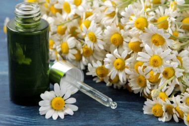 Tıbbî papatya çayı ve papatya çayı özü şişede. Papatya çiçeklerinden yağ. Aromaterapi. Bir uyuşturucu. Mavi ahşap bir masada. yakın plan